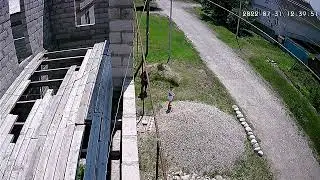 10 августа 2022 г.