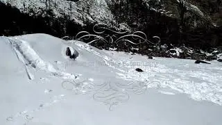 SNOWFALL AT SIKKIM  IN JANUARY  & FEBRUARY