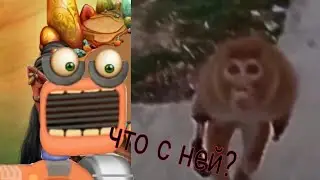обезьяна, которая ест себя из-за голода|The monkey's Hands & Legs Burnt by fire