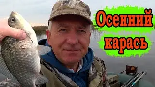 Осенний карась! С лодки на поплавок.