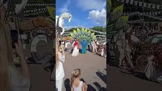 ЧТО ЭТО?