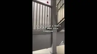 ONE SECOND BEFORE DISASTER MEMES (#17)