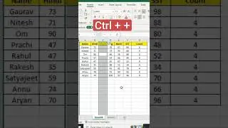 Insert New Row & Column 