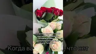 #kohavlog #flowers #subscribe