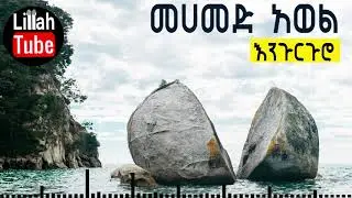 መሀመድ አወል እንጉርጉሮ  || Mohammed Awol Engururo