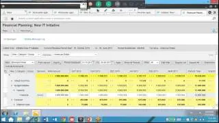 SAP PPM for Portfolio Management