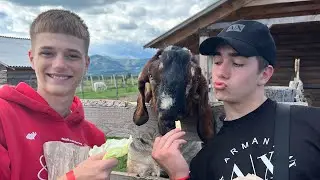 РУМ ТУР!)