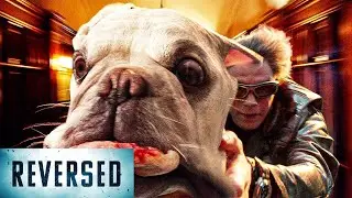 X-Men Apocalypse - Quicksilver Scene (REVERSED)
