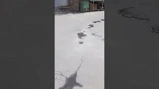 Типичный Петербург