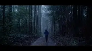 Felix Ferguson Reel