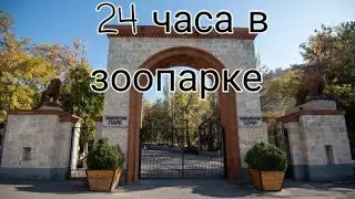 24 часа в зоопарке *Армении*