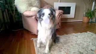 Flint and the cream pot