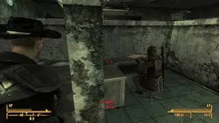 Fallout: New Vegas Funny Glitches