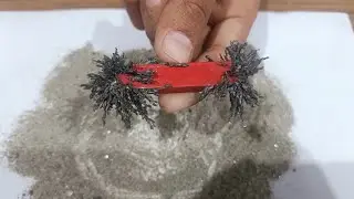 identify poles of a magnet🧲 (ਚੁੰਬਕ ਦੇ ਧਰੁਵਾਂ ਬਾਰੇ ਜਾਣਕਾਰੀ)