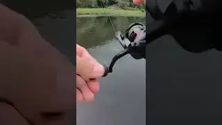 More Summer River Bass! #fishing #bassfishing #fishingvideo