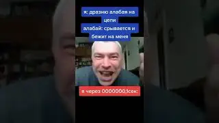 ты дразнишь алабая рили приколдес