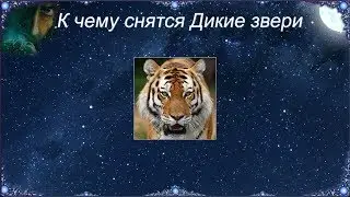 К чему снятся Дикие звери (Сонник)
