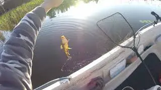 Linaski tripp Õisu järvel.