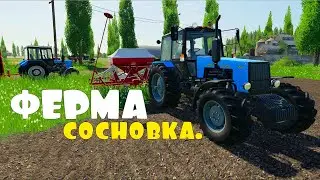 Новая КАРТА СОСНОВКА. FS19.