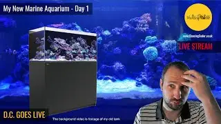 Day 1 - My New Aquarium | The White Sands Of D.C. | Red Sea Reefer 350
