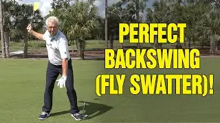 HOW TO MAKE THE PERFECT BACKSWING!