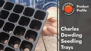 Charles Dowding Seedling Trays