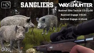 WAY OF THE HUNTER UPDATE 1.24.3 #42 UNE NOUVELLE CHASSE AUX SANGLIERS !