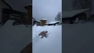 Нырнул в сугроб🧊Зимняя баня  ❄️ #деревня #зима #баня #кайф