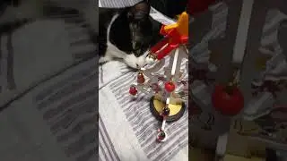 Готовимся к новому году