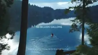 Skip The Rinse and Save 20 Gallons