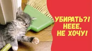 12 причин, по которым можно делать уборку реже