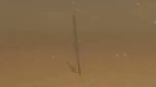 Katana in Desert Animation