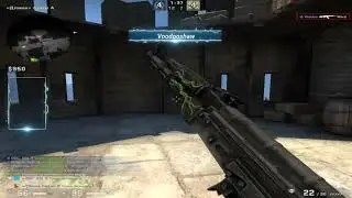 headshot paw paw