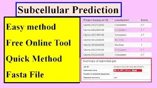 Predict the Subcellular localization 