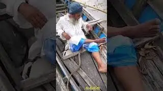cobra attack video
