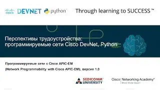 Перспективы трудоустройства: программируемые сети Cisco DevNet, Python
