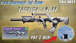 *New* Type 25 