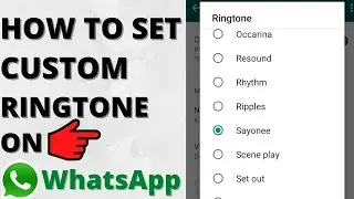 How to Set Custom Ringtone on Whatsapp | 100% Working Trick | Urdu/Hindi | 2022