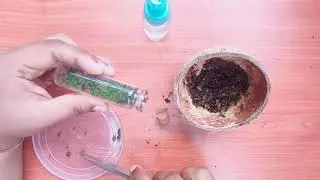 Moss Terrarium in Mini Bottle | DIY Terrarium|Mini bottle Terrarium