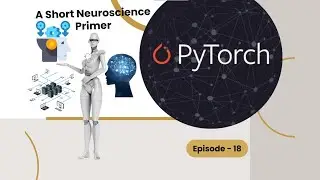 A Short Neuroscience Primer - Episod 18