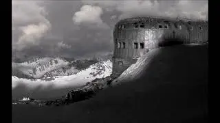 Приют 𝟭𝟭
