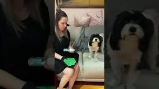 Pet Care Range