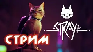 СТРИМ STRAY - ПОЛНОЕ ПРОХОЖДЕНИЕ