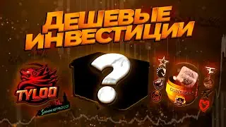 Лучшие дешевые инвестиции в кс2 в августе...