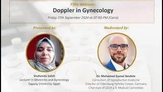 Doppler US in Gyn & Obs Workshop 2024: 5) Doppler in gynecology Dr. Shahenda Saleh