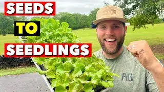 I’VE BEEN STARTING SEEDS LIKE THIS FOR 6 YEARS. HERE’S HOW I DO IT
