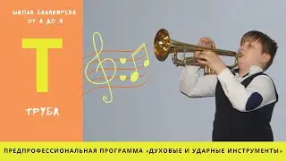 Т - ТРУБА