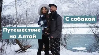 Первое путешествие с собакой на Алтай!