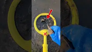 Carefully pulled out from the dirt what was in someone's mouth