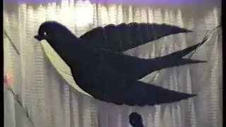 30 лет Ласточке